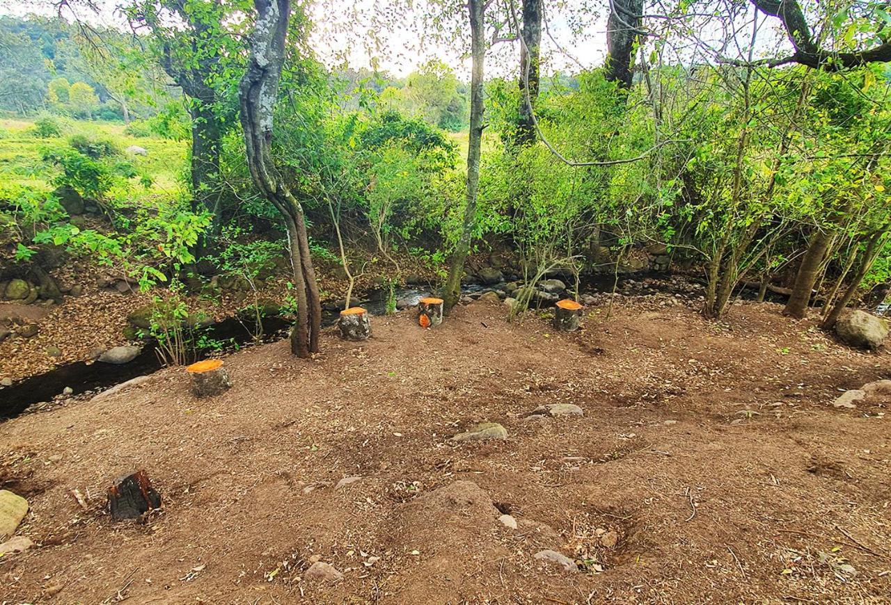 Villa Senda Monarca Senguio Esterno foto